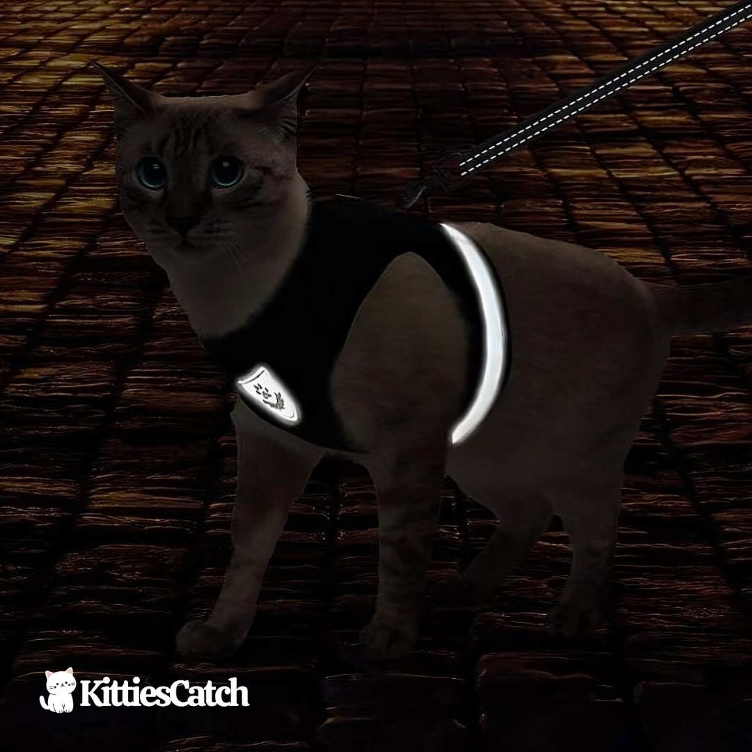 KittiesCatch™ Harness with Leash